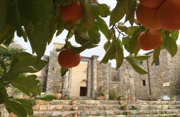 jeep-safari-rethymon-fruittrees