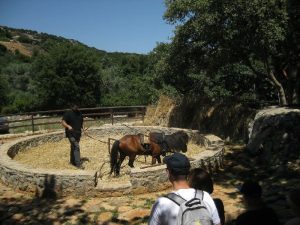 jeep safari, rethymnon area, shepherd's hut, shepherd's lifestyle