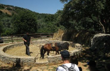 jeep-safari-rethymon-shepherd