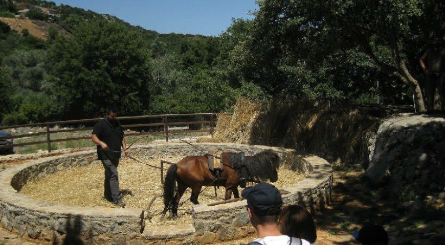 jeep-safari-rethymon-shepherd