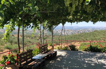 wine-and-olives-jeep-safari-winery