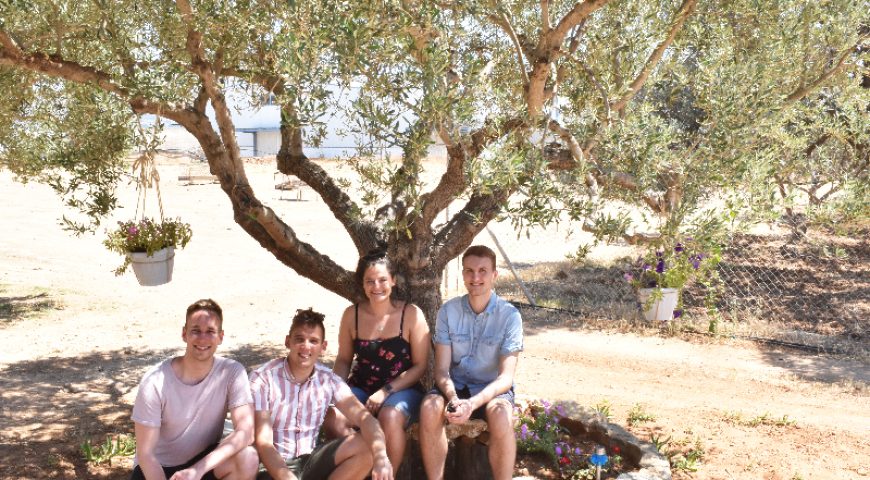 farm-cooking-class-and-tour-farm