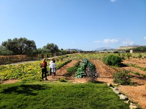 farm cooking class and tour, the garden tour