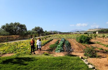 farm-cooking-class-and-tour-farmtourl