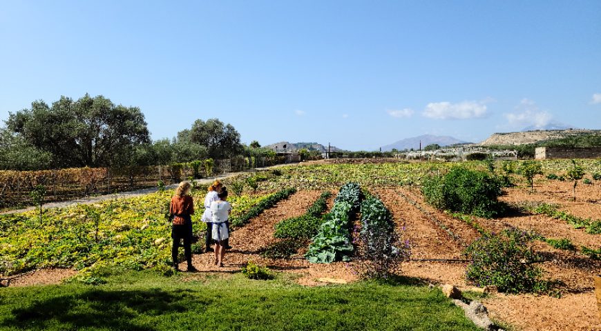 farm-cooking-class-and-tour-farmtourl