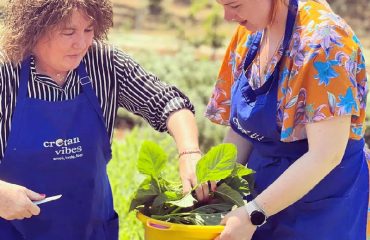 farm-cooking-class-and-tour-pickingveggies