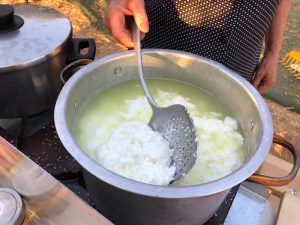 arm food tour & live cheese making demonstration, live cheese making