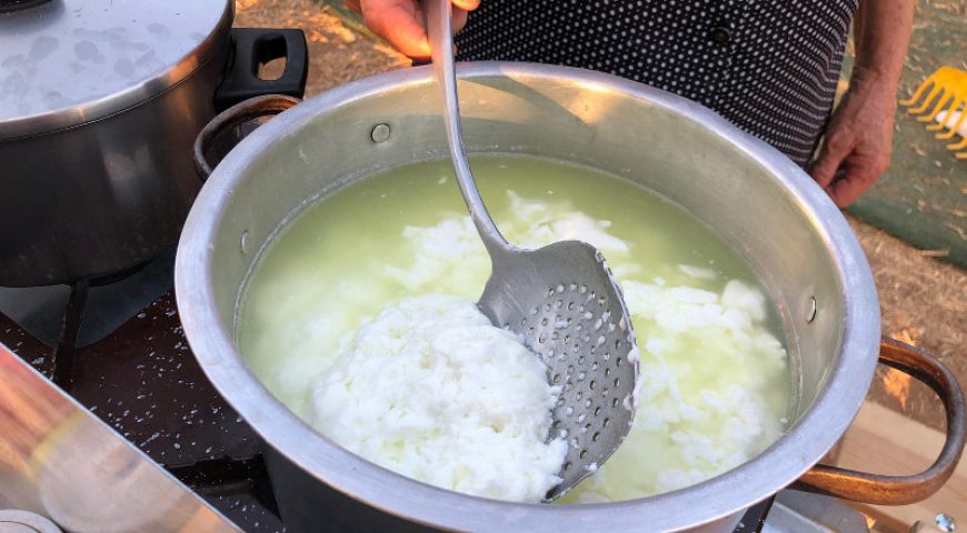 food-tour-live-cheese-making